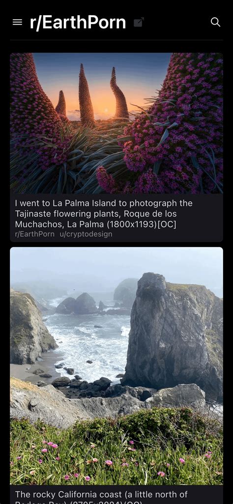 Introducing Reddtastic – The NSFW viewer for Reddit.